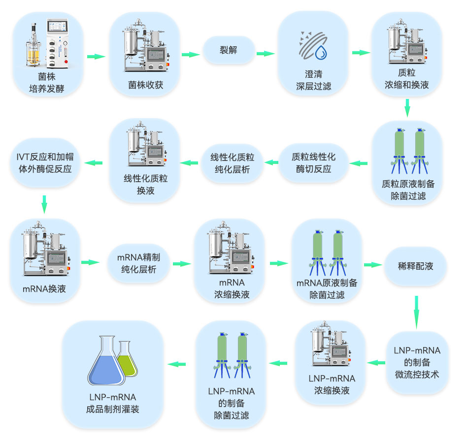 LNP-mRNA成品的工艺流程