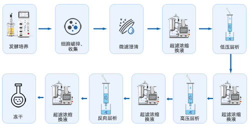 生物发酵下游工艺